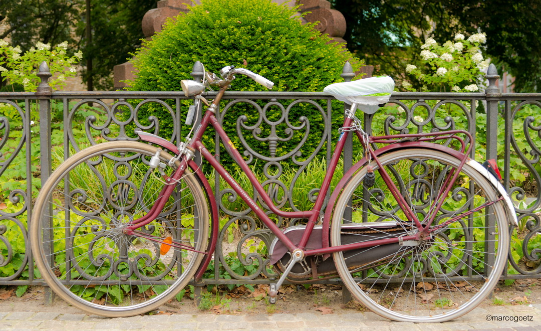 FAHRRAD MUENSTER GERMANY1 